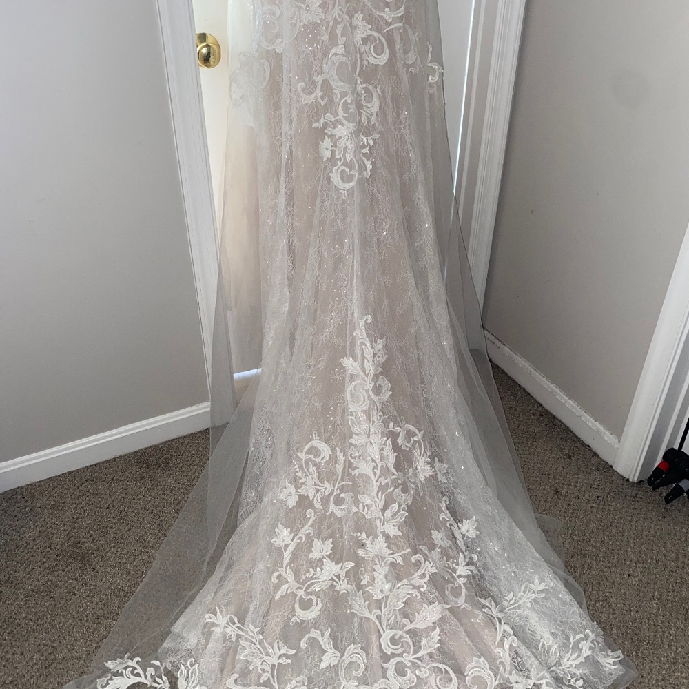 Wedding dress and veil